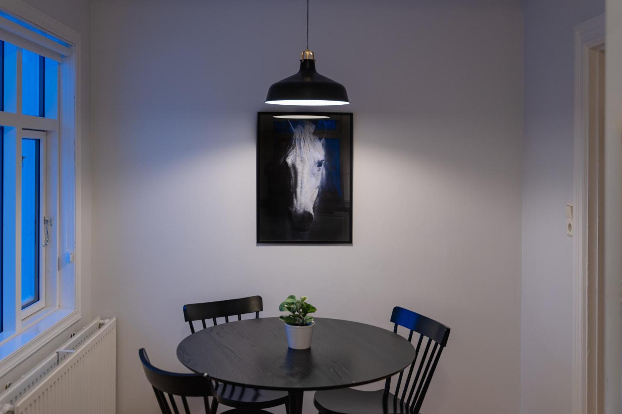 Day Dream Central Akureyri Three Bedroom Apt Dış mekan fotoğraf